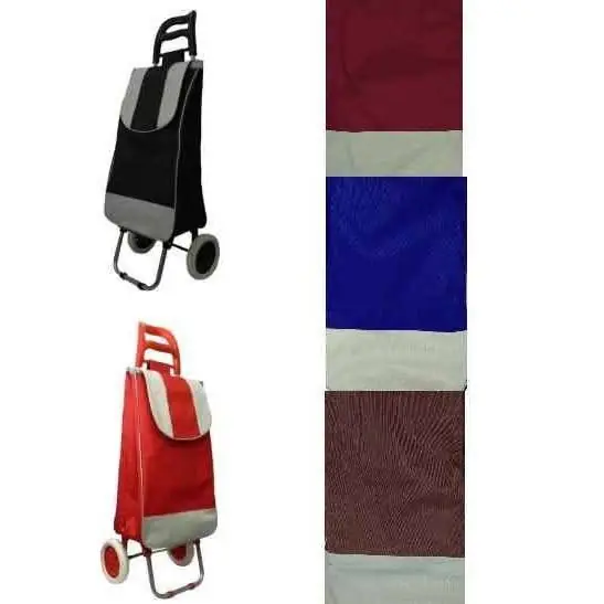 Changuito carrito de compra colores y diseños