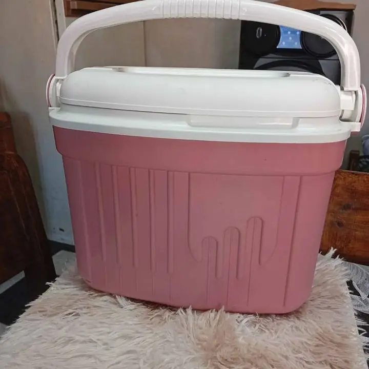 Conservadora 10 litros