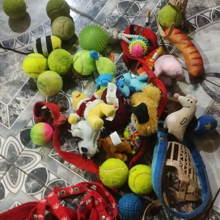 Juguetes pa perro