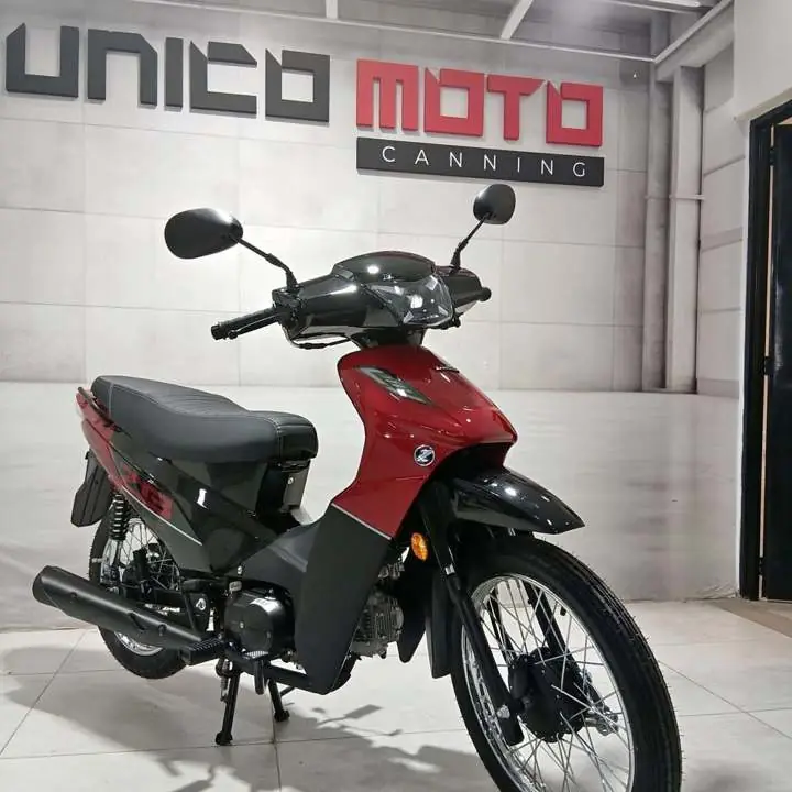 Zanella zb110