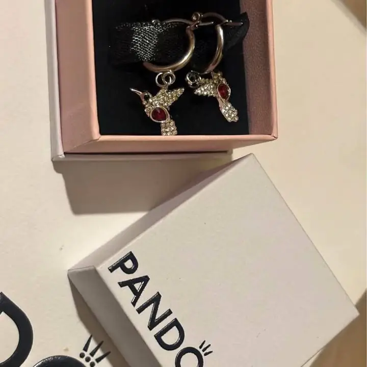 Aros pájaros con piedra roja ! Pandora