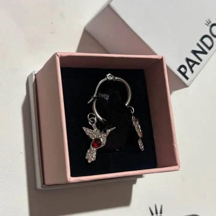 Aros pájaros con piedra roja ! Pandora envíos o entregas personales