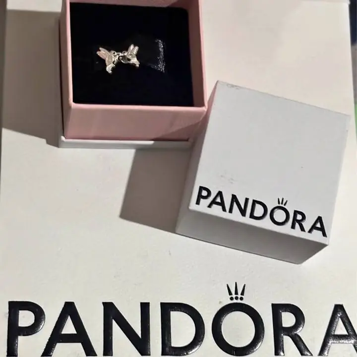 Aros de plata 925 Pandora envíos o entregas personales! Compra uno y llévate otro al 50 de descuento