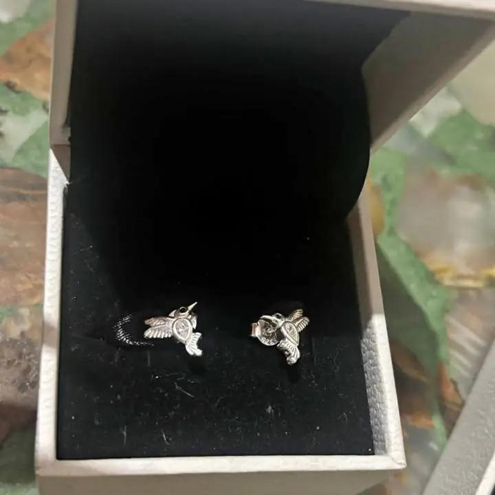 Aros de plata 925 sellados Pandora ! Súper promo los dos pares por 199,999$