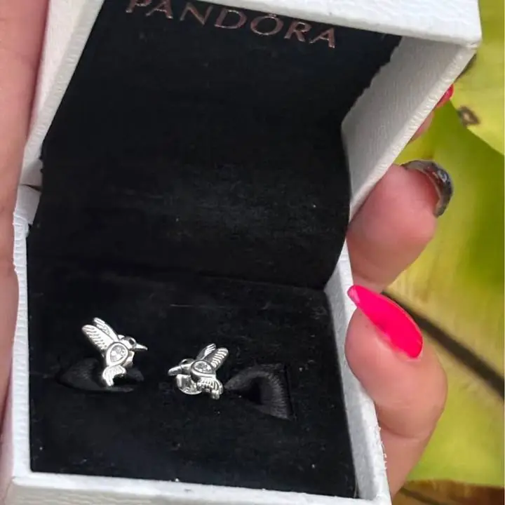Aros de plata 925 Pandora ! Envíos o entregas personales sellados