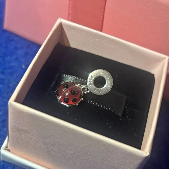 Charm Pandora con sello ale 925 envíos o entregas personales