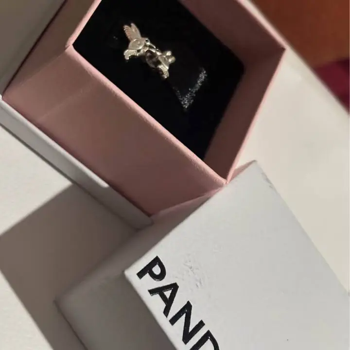 Aros pajaritos plata 925 con piedra o argolla corazón con piedra ! Pandora