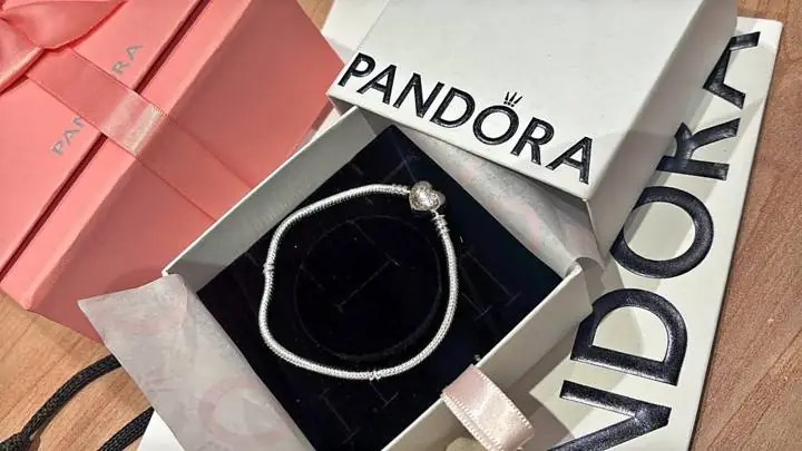 Pulsera Pandora plata 925 moment corazón con sello ale charm de regalo en caja y bolsa