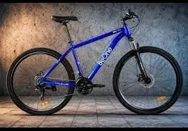 Bici beone rodado 29 de acero