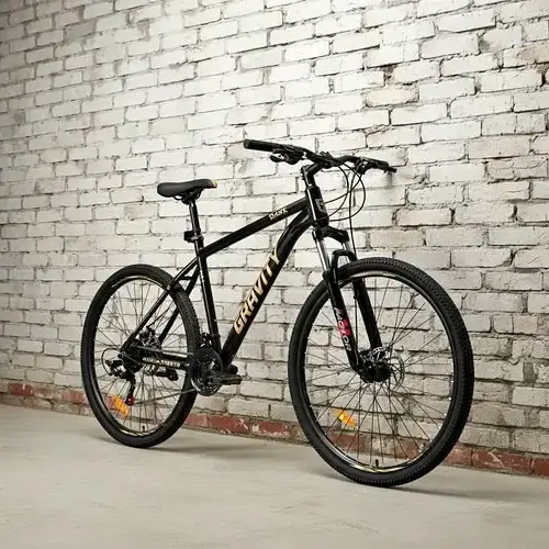 Bici gravity RODADO29