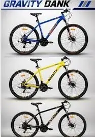 Bicicleta gravity dank R29
