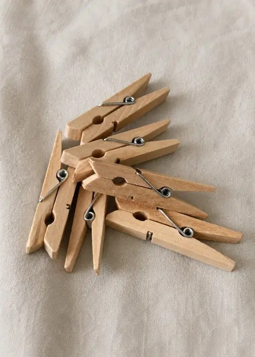 Set de broches para colgar la ropa X12
