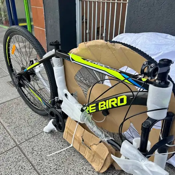 Bicicleta Firebird R29 Acero