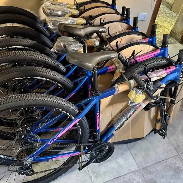 Bicicleta Vex R29 Aleación