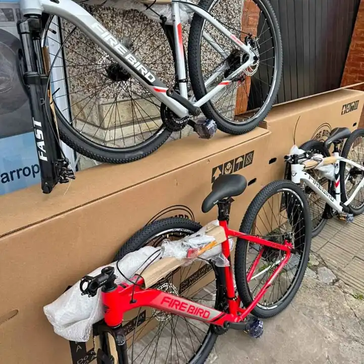 Bicicleta Firebird R29 Alumino