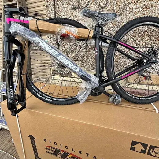 Bicicleta Firebird R29 Acero Dama