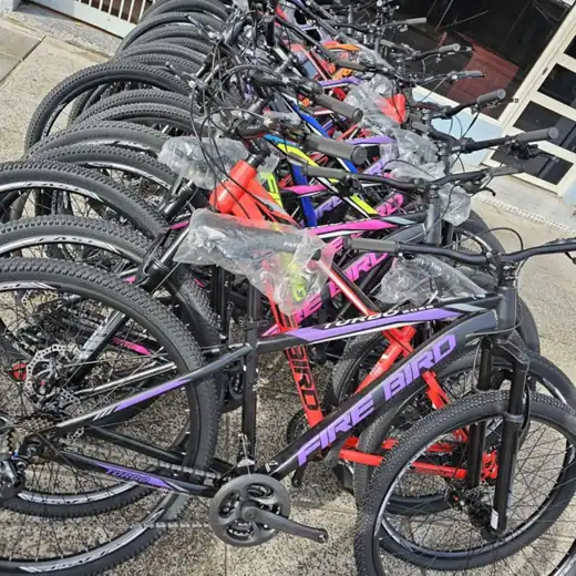 Bicicletas firebird R29 acero
