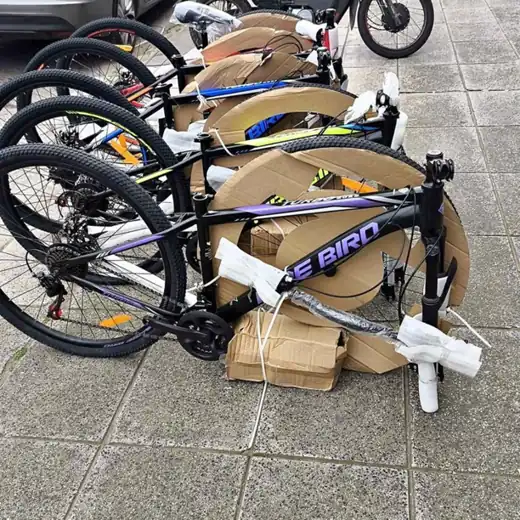 Bicis