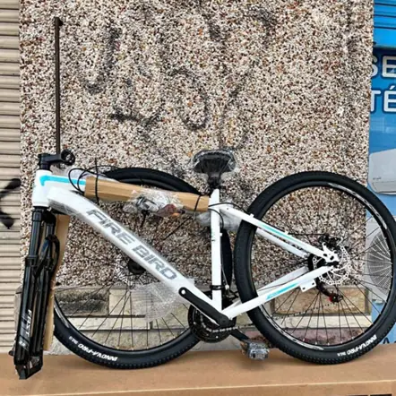 Bici de mujer acero R29