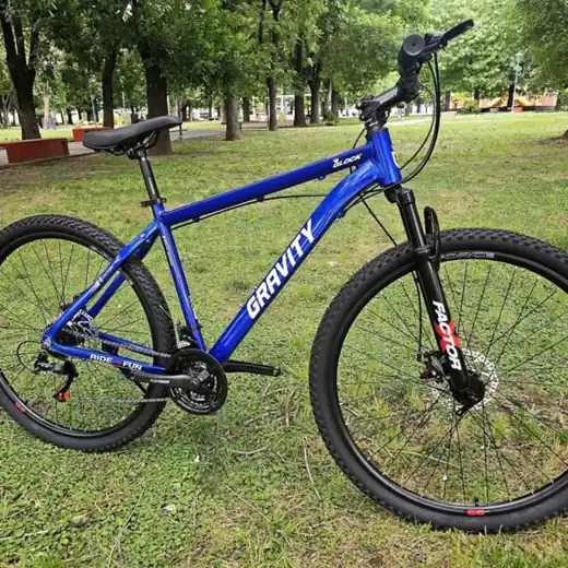 Bicicleta GravityR29 Aluminio
