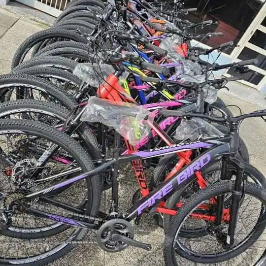 Bicicleta firebird R 29