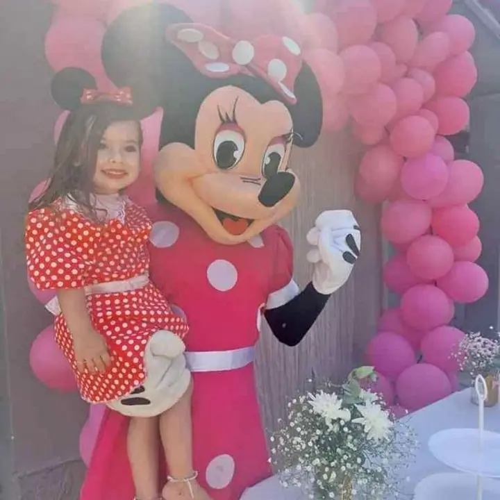 Fabrica Minnie Rosa