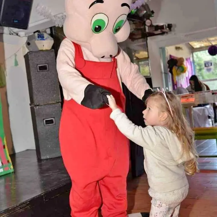 Venta Disfraz Chancho