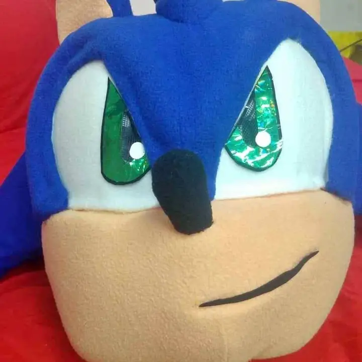 Realización Disfraz Sonic Nuevo Venta
