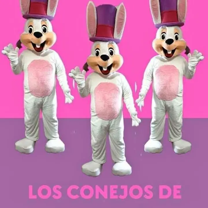 Realización Disfraces Conejos de Pascuas