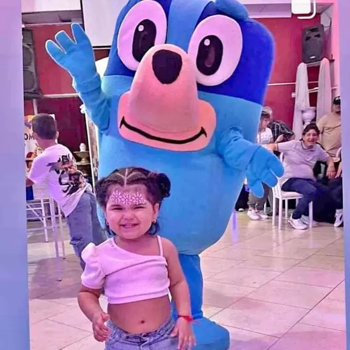 Disfraz bluey