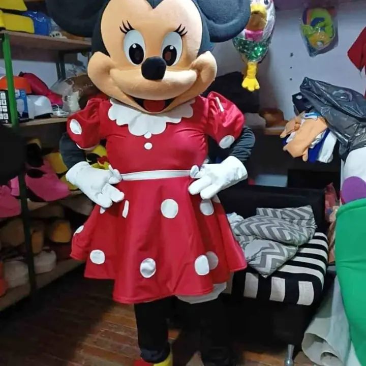 Disfraz minnie