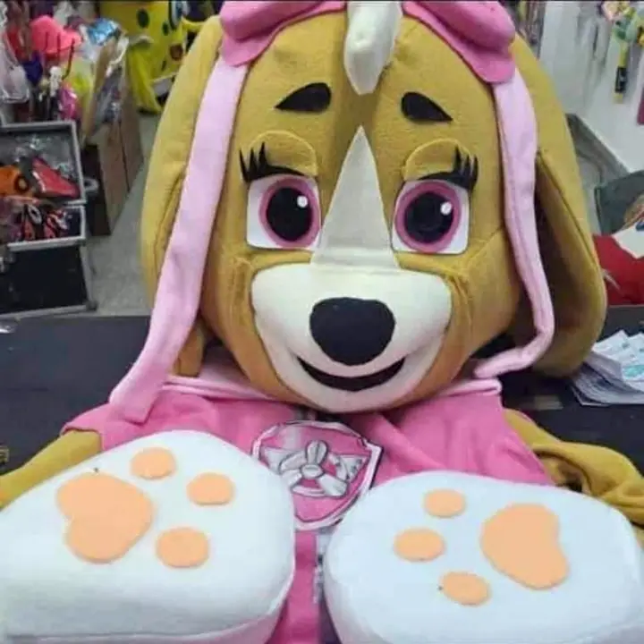 Disfraz Skye Patrulla Canina