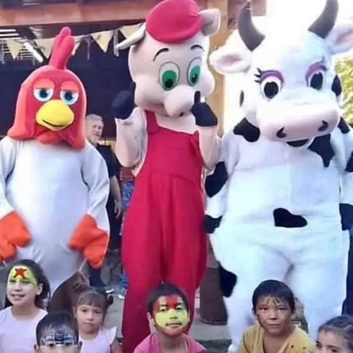Disfraces de la Granja Nuevos