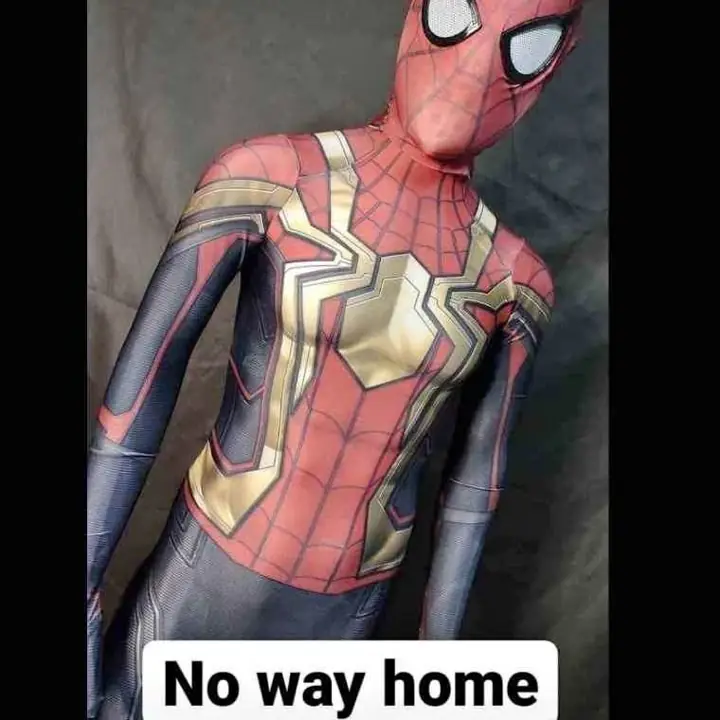 Spiderman premium no way home