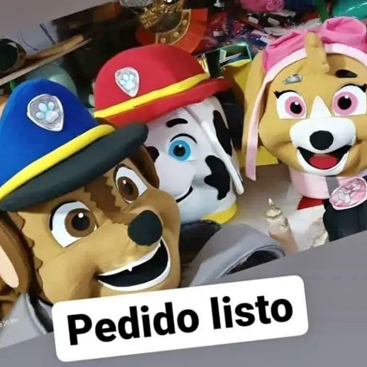 Disfraces Patrulla Canina Venta