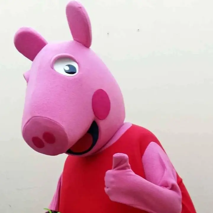Confección Disfraz Peppa Pig