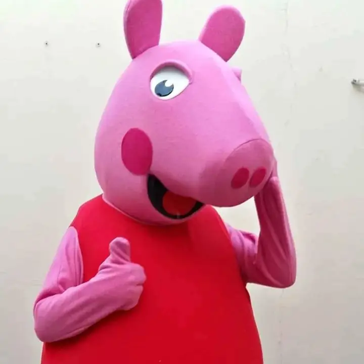 Fabrica Disfraces Peppa Pig