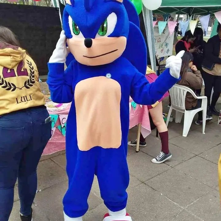 Disfraz Sonic