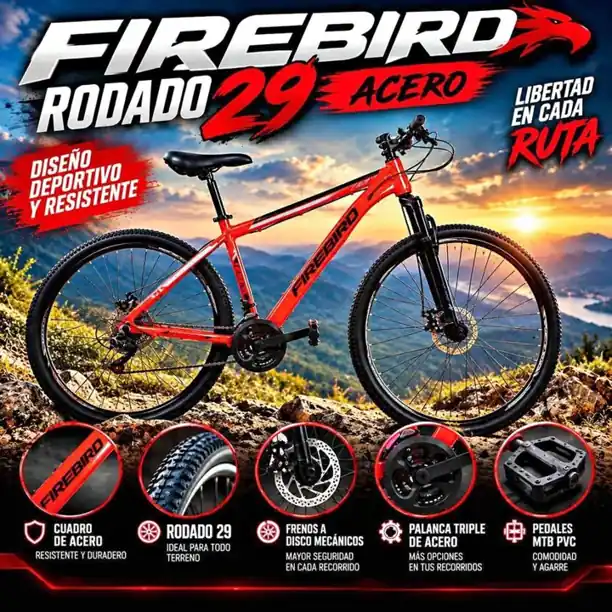 Bicicleta firebird acero