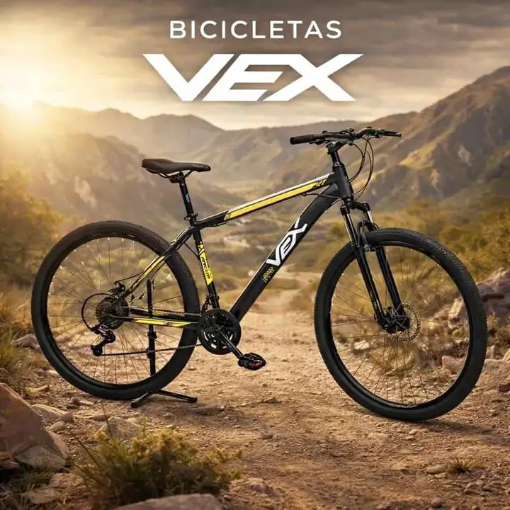 Bicicleta vex rodado 29"