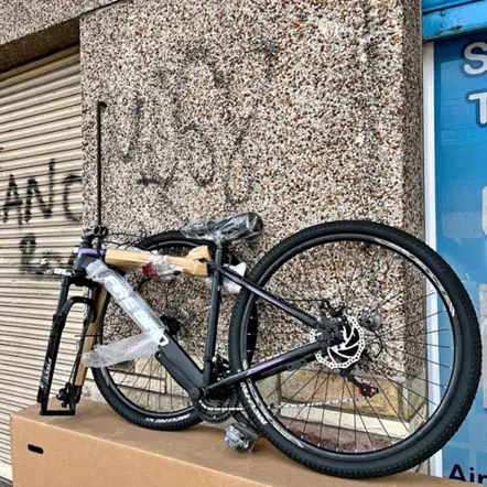Bicicleta firebird acero R29
