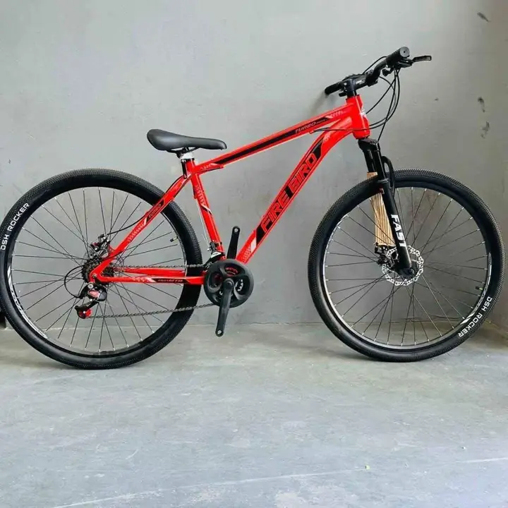 Bicicletas firebord