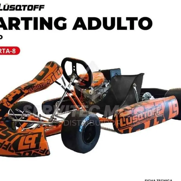 Karting adulto lusqtoff