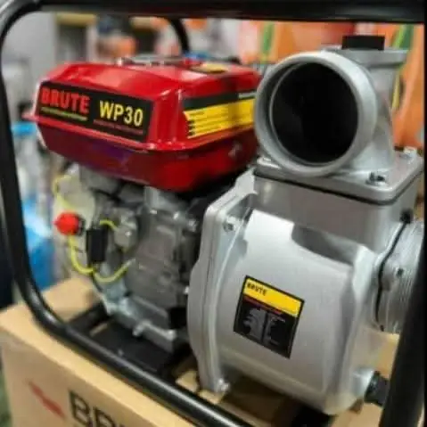 Motobomba brute WP30