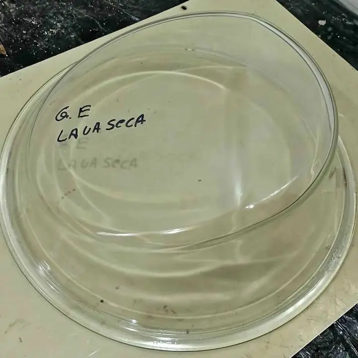 Visor de vidrio de puerta de lavasecarropas general electric LSGE09E09M