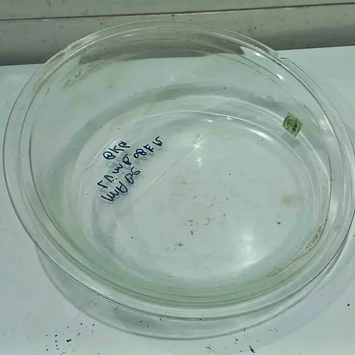 Visor de vidrio de puerta de lavarropas Mabe lvmb08e12