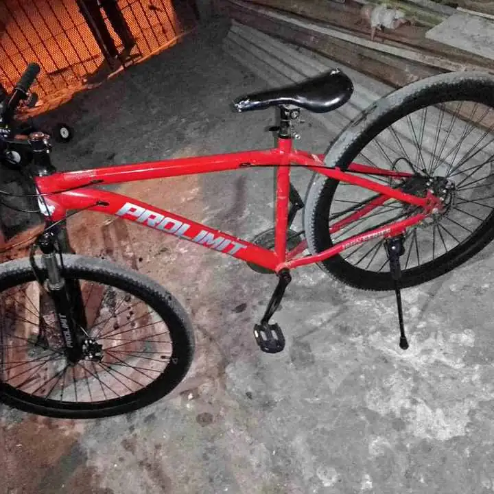 Bici freno a disco