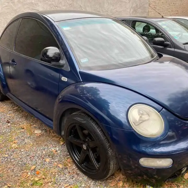 Vw new Beethe 2002