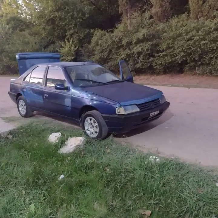 Peugeot 405 2000 style