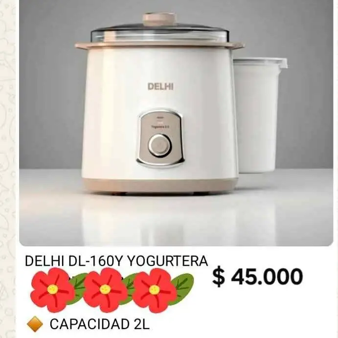Yogurtera Delhi 2 litros
